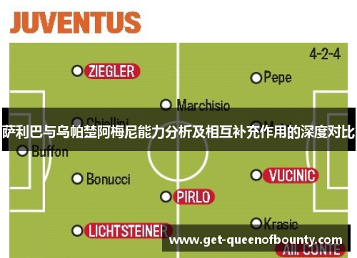 萨利巴与乌帕楚阿梅尼能力分析及相互补充作用的深度对比