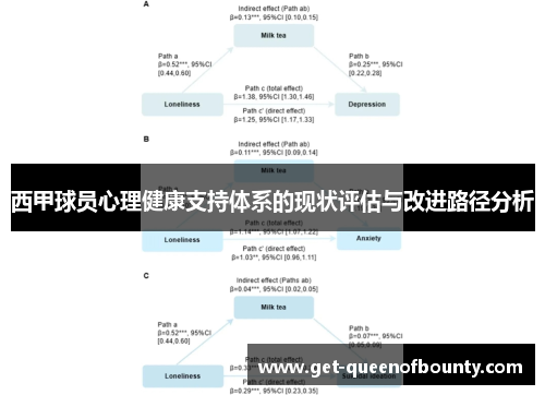 西甲球员心理健康支持体系的现状评估与改进路径分析