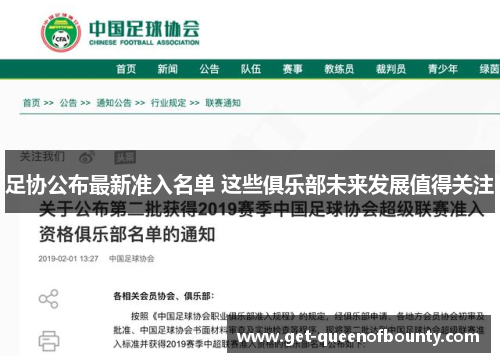足协公布最新准入名单 这些俱乐部未来发展值得关注