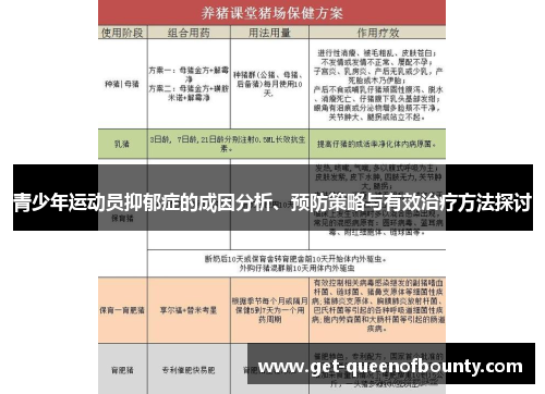 青少年运动员抑郁症的成因分析、预防策略与有效治疗方法探讨