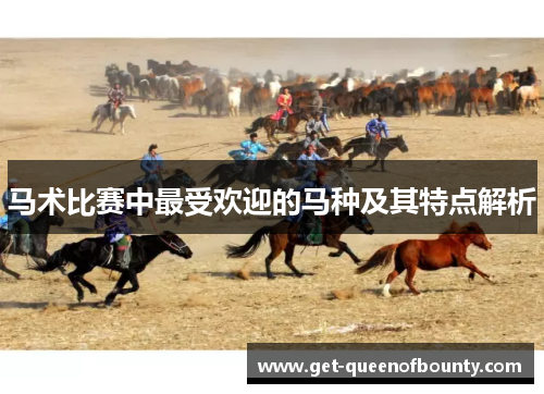 马术比赛中最受欢迎的马种及其特点解析